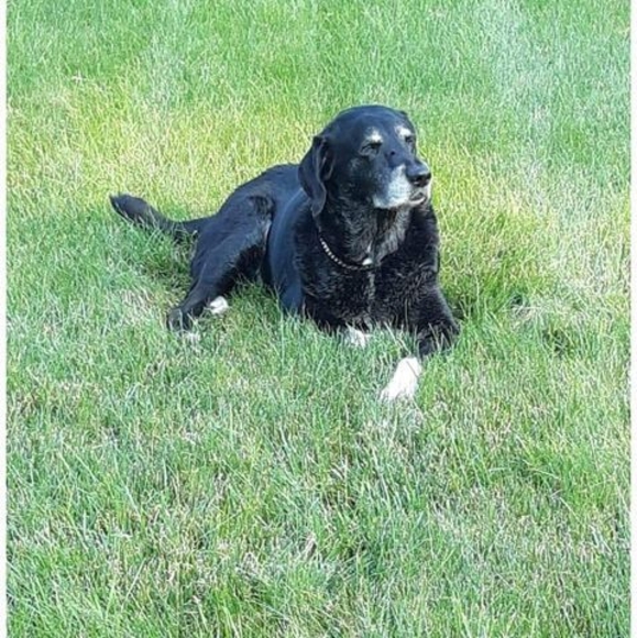 Meet your Posher, Renee - Picture 1 of 5